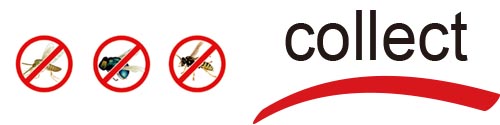 Tianjin Collect Import & Export Co. Ltd